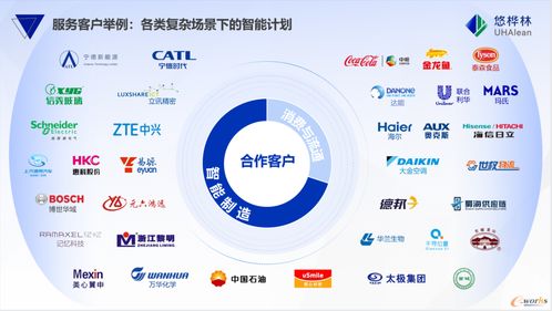 悠桦林位列国内供应商第一，《2025中国智能供应链计划与排程市场份额报告》正式发布——中豹供应链洞察行业新趋势